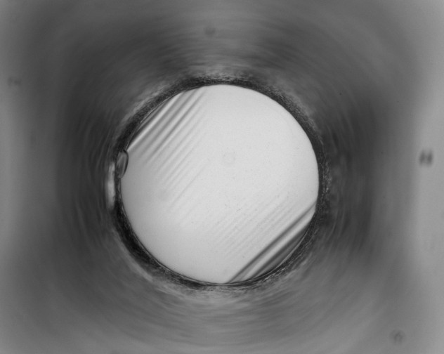 X0000099460020200805301544