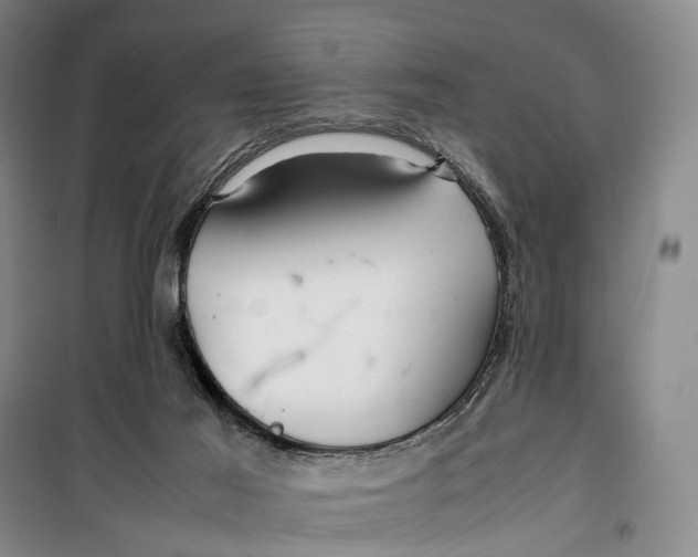 X0000099460021200805301544