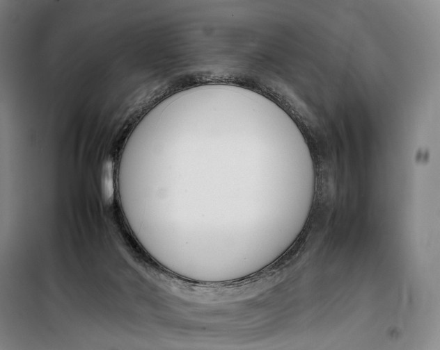 X0000099460022200805301544