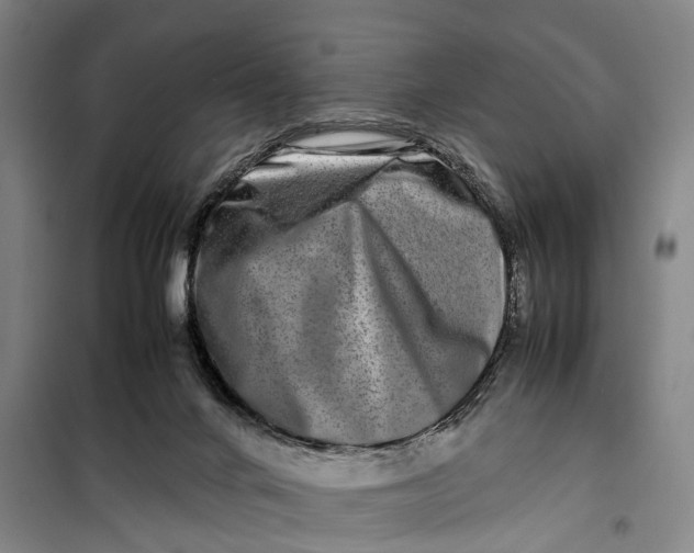 X0000099460024200805301544