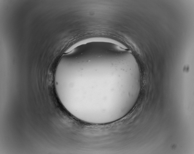 X0000099460025200805301544