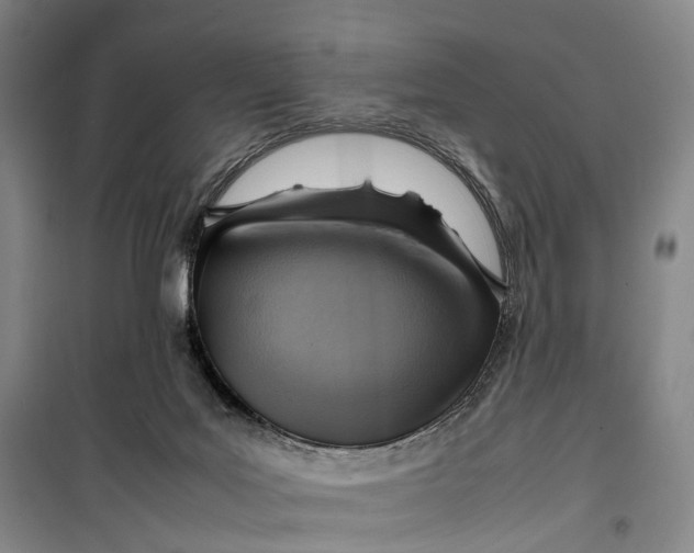 X0000099460027200805301544