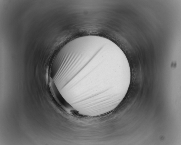 X0000099460028200805301543