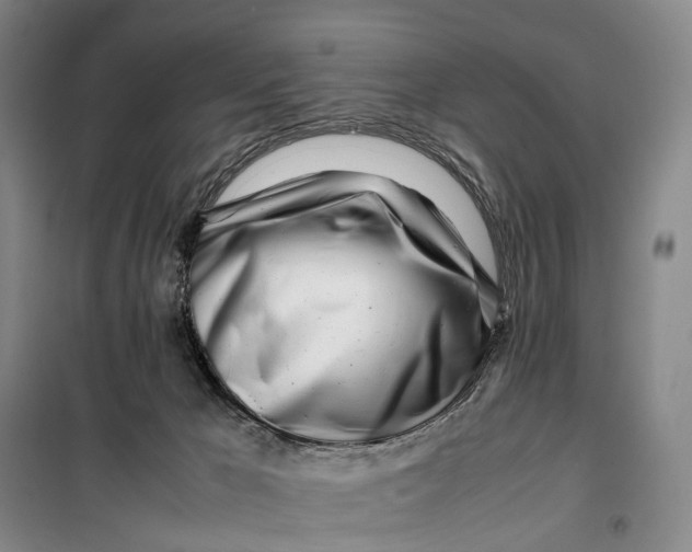 X0000099460029200805301543