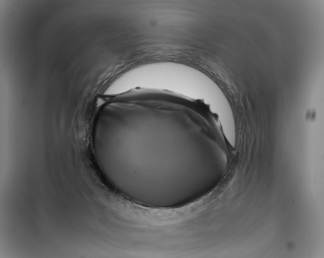 X0000099460031200805301543