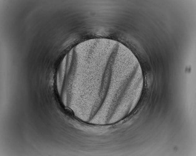 X0000099460032200805301543