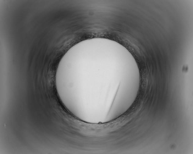 X0000099460034200805301543