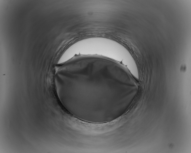 X0000099460035200805301543