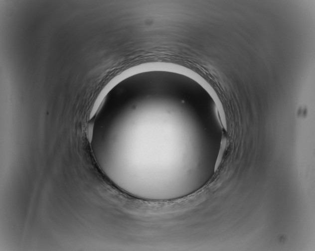 X0000099460037200805301543