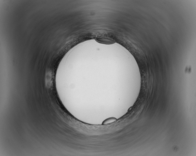 X0000099460038200805301543