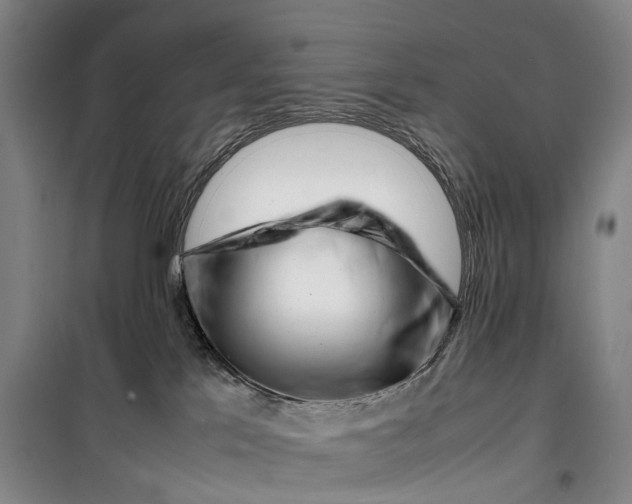 X0000099460041200805301543