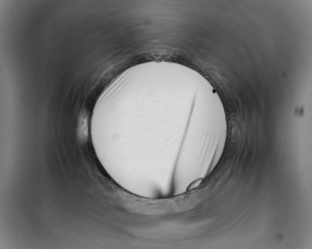 X0000099460042200805301543