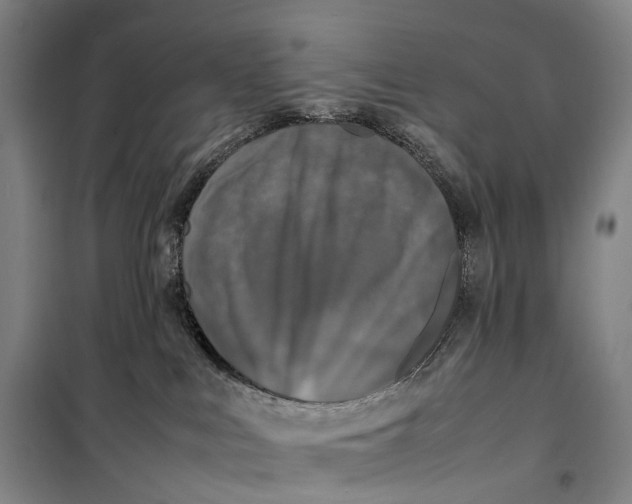 X0000099460043200805301543