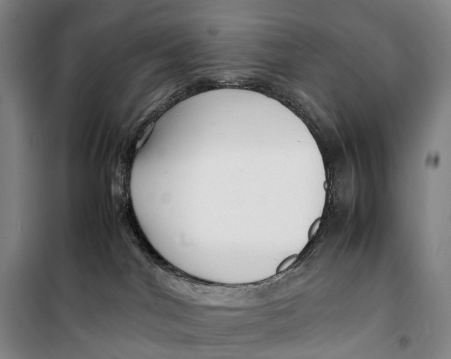 X0000099460044200805301543