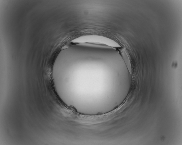 X0000099460045200805301543