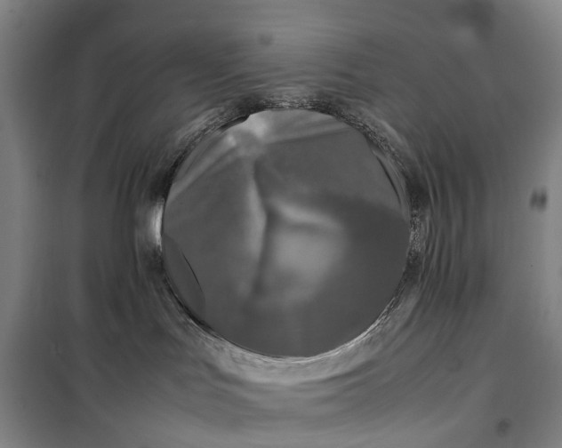 X0000099460047200805301543