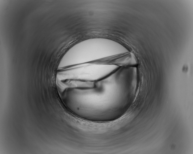 X0000099460048200805301543