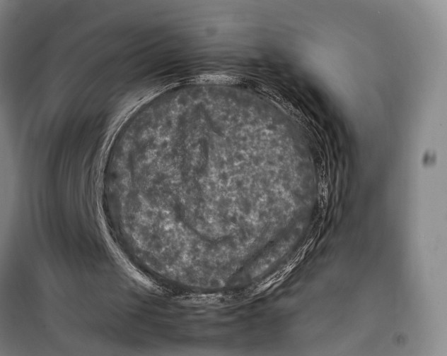 X0000099460049200805301543