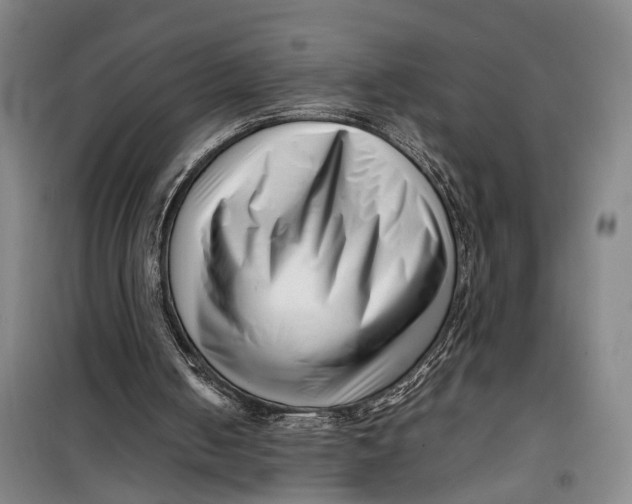 X0000099460050200805301543