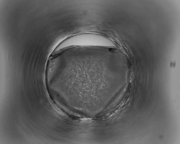 X0000099460052200805301543