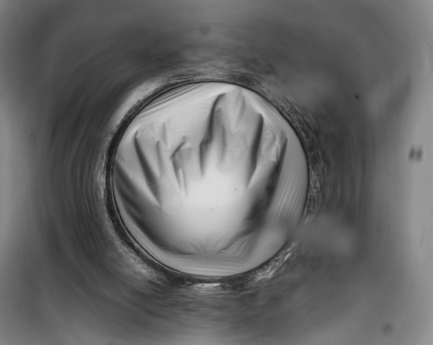 X0000099460054200805301543