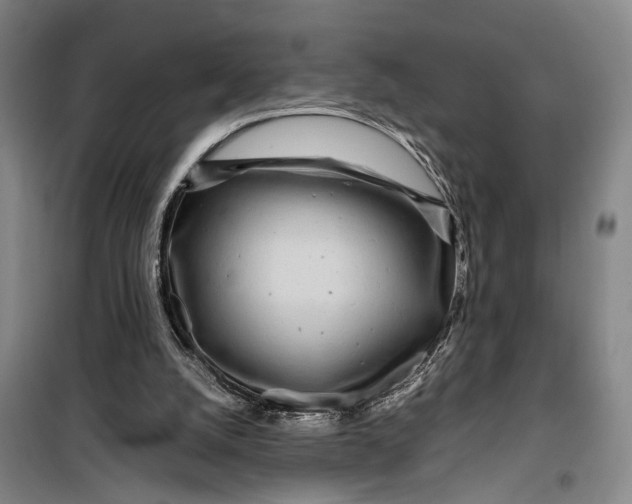 X0000099460056200805301543