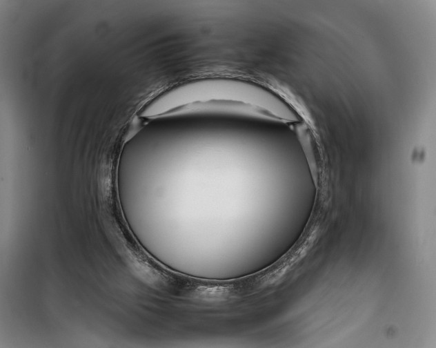 X0000099460057200805301543