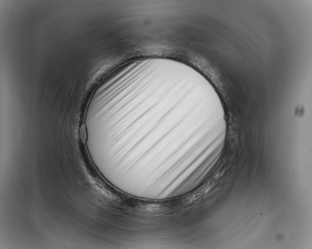 X0000099460058200805301543