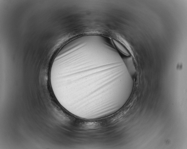 X0000099460059200805301543