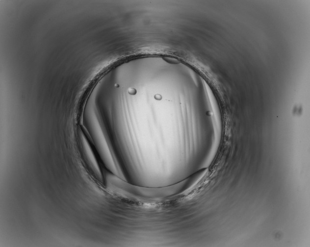 X0000099460060200805301543