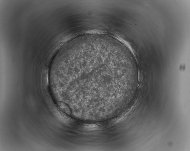 X0000099460061200805301543