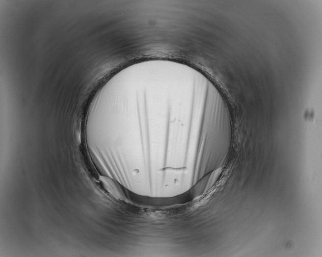 X0000099460062200805301543