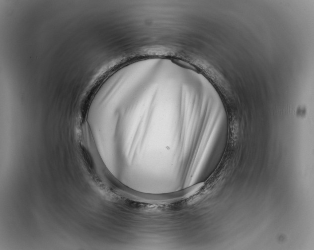 X0000099460064200805301543