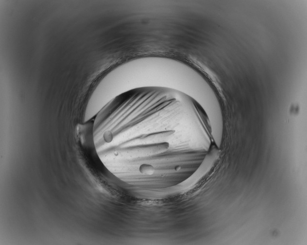 X0000099460067200805301543