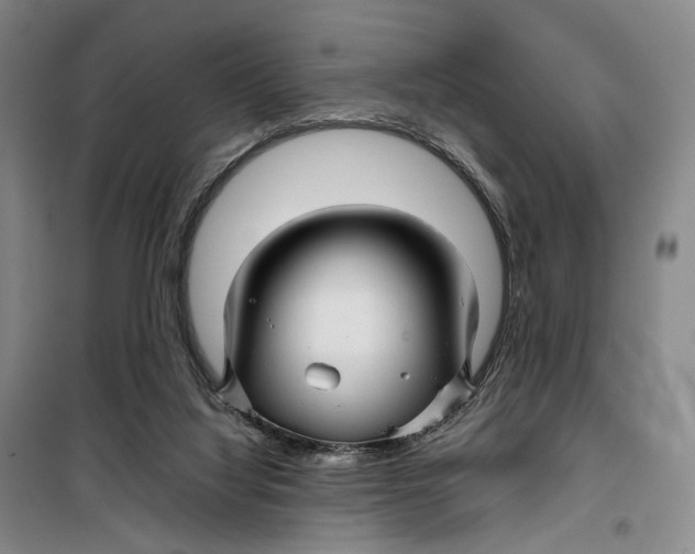 X0000099460068200805301543