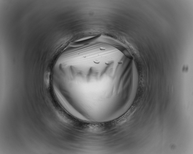 X0000099460070200805301543