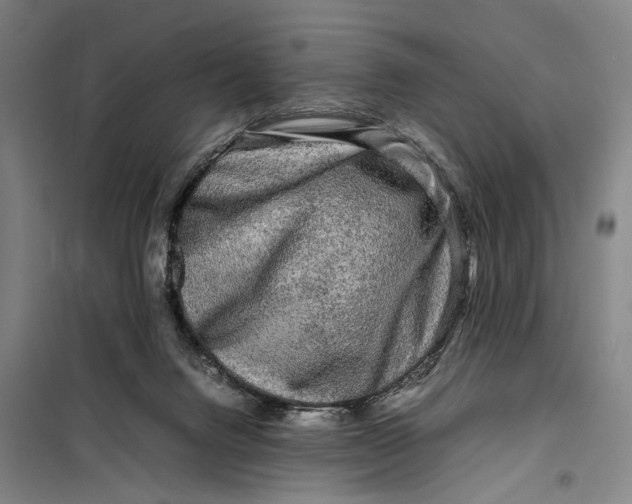 X0000099460072200805301543