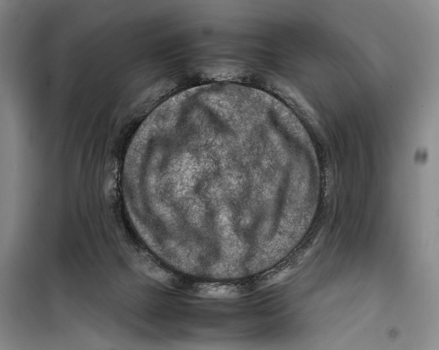 X0000099460073200805301543