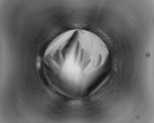 X0000099460075200805301543