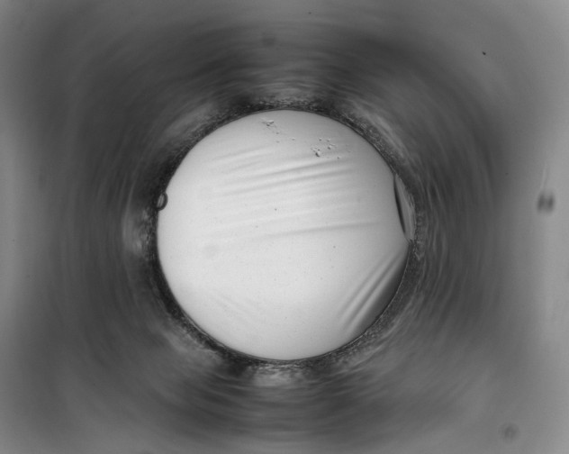 X0000099460077200805301543