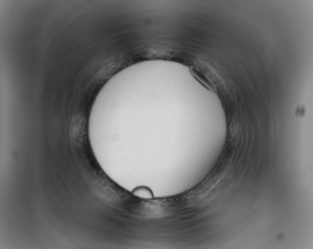 X0000099460079200805301543