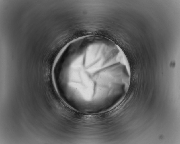 X0000099460082200805301543