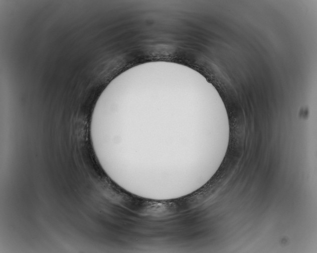 X0000099460083200805301543