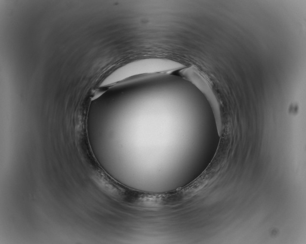 X0000099460084200805301543