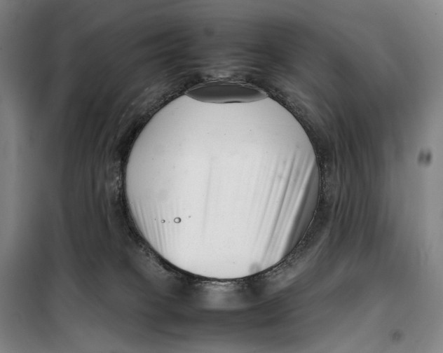 X0000099460085200805301543