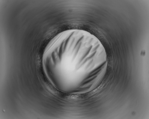 X0000099460086200805301543