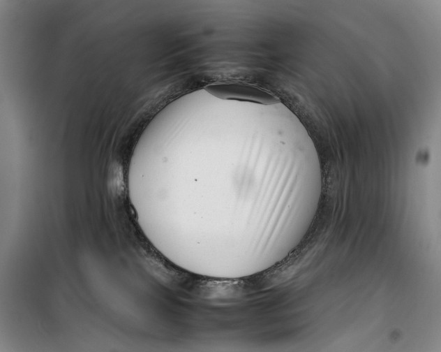 X0000099460089200805301543