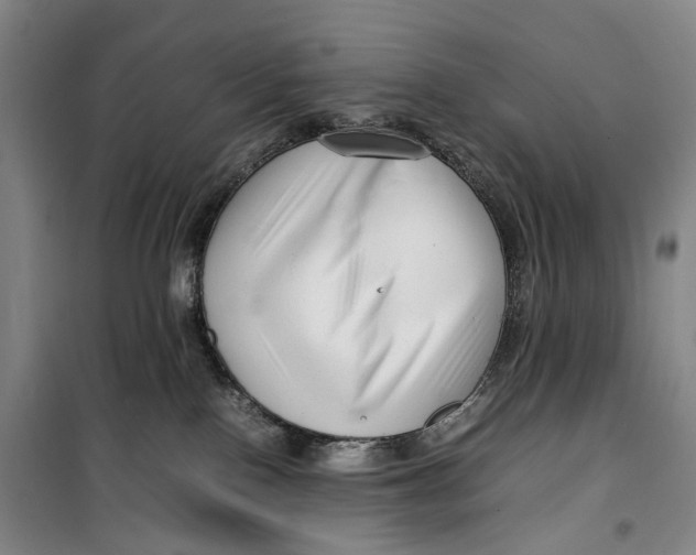 X0000099460090200805301543