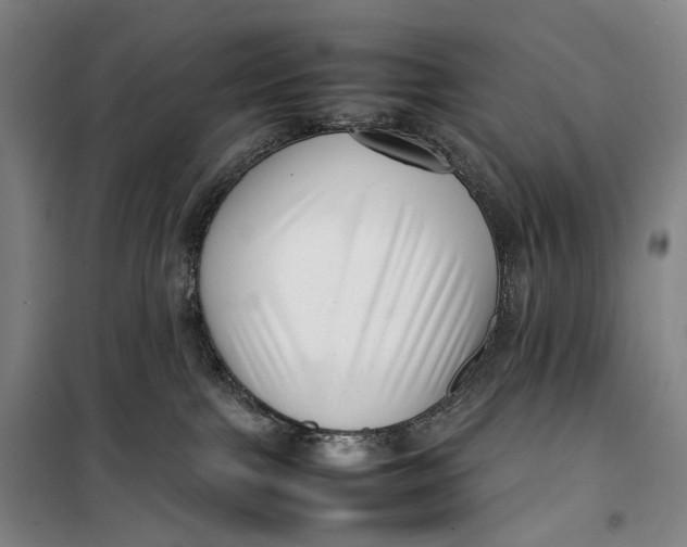 X0000099460091200805301543