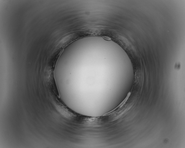 X0000099460092200805301543